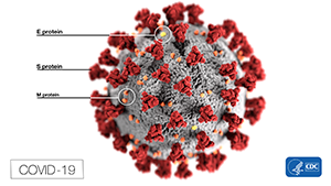 small coronavirus image
