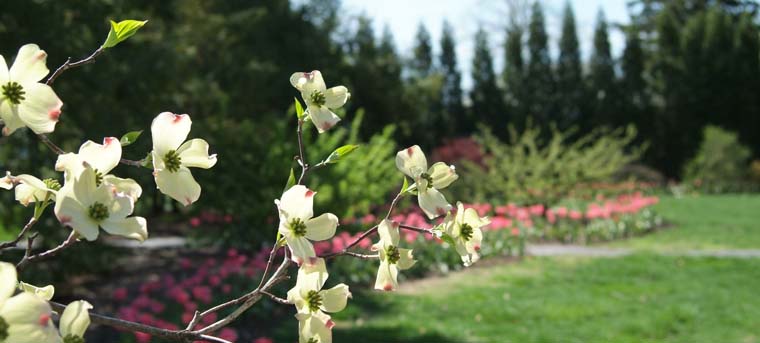 President's House: Grounds