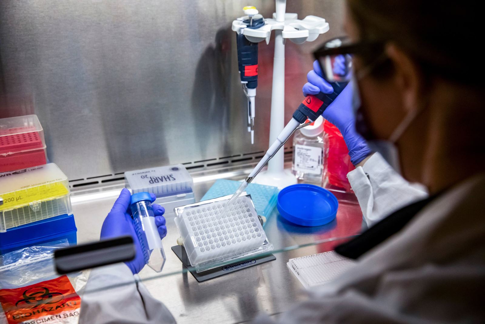 Scientist shown processing tests in a lab