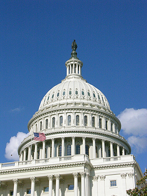 U.S. Capitol Building